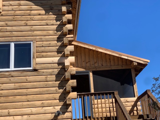 Detail of replacement logs and log ends at a log home corner